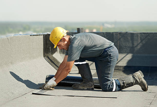 Best Insulation Replacement  in Cascade, IA